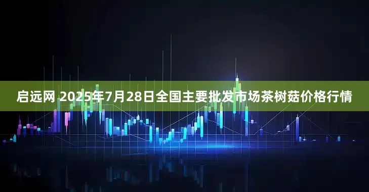 启远网 2025年7月28日全国主要批发市场茶树菇价格行情