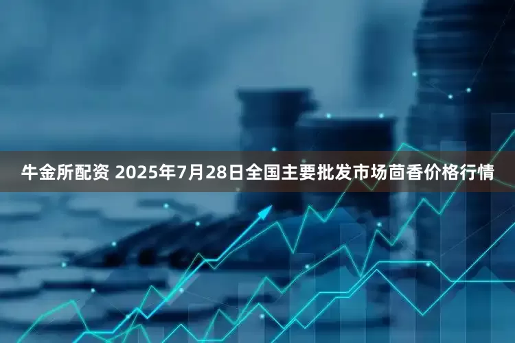 牛金所配资 2025年7月28日全国主要批发市场茴香价格行情
