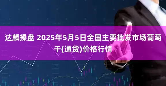 达麟操盘 2025年5月5日全国主要批发市场葡萄干(通货)价格行情
