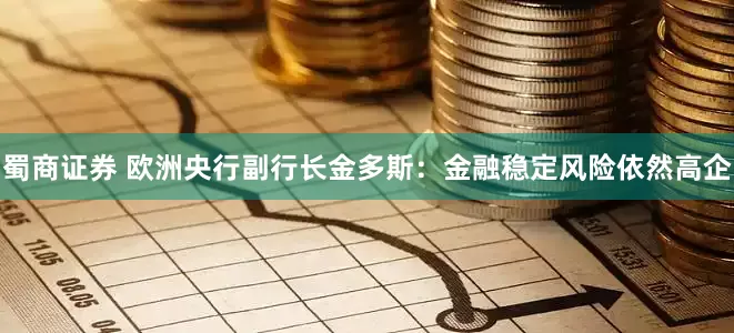 蜀商证券 欧洲央行副行长金多斯：金融稳定风险依然高企