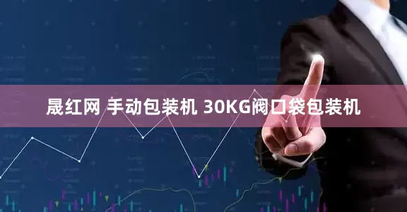 晟红网 手动包装机 30KG阀口袋包装机